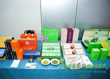 解码广西茶产业的“风味经济学”：一缕茶香飘四海，产值升级谱新篇